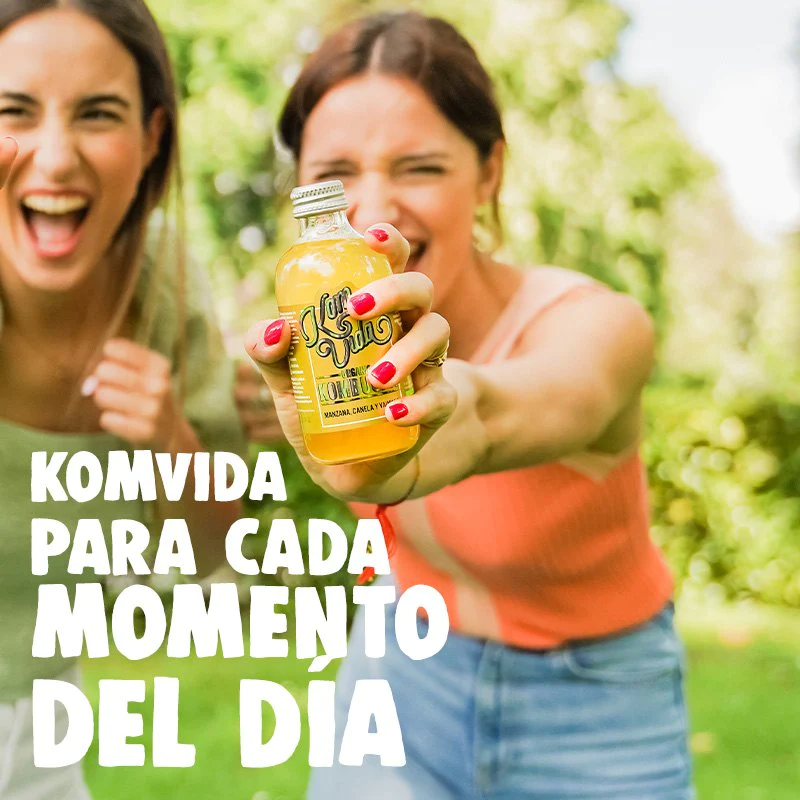 Kombucha de manzana ecológica Komvida 250ml. - Ítem3