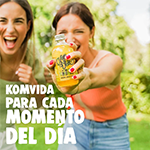 Kombucha de manzana ecológica Komvida 250ml. - Ítem3