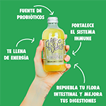 Kombucha de manzana ecológica Komvida 250ml. - Ítem2